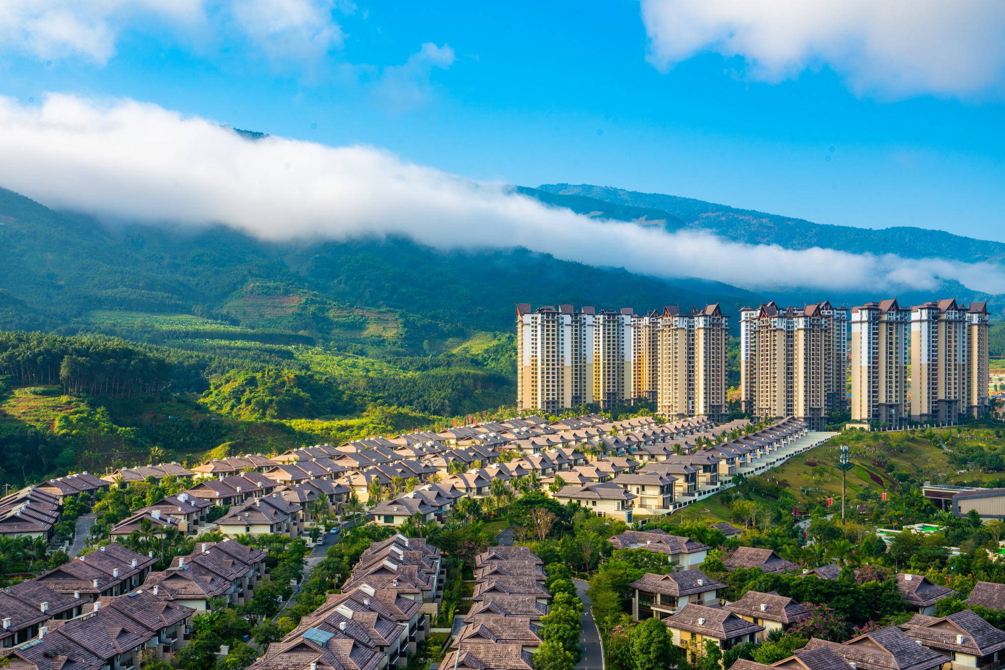 Yunnan Ruili Agile